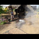 In dem Topf werden die Cashewfrüchte unter Rühren geröstet